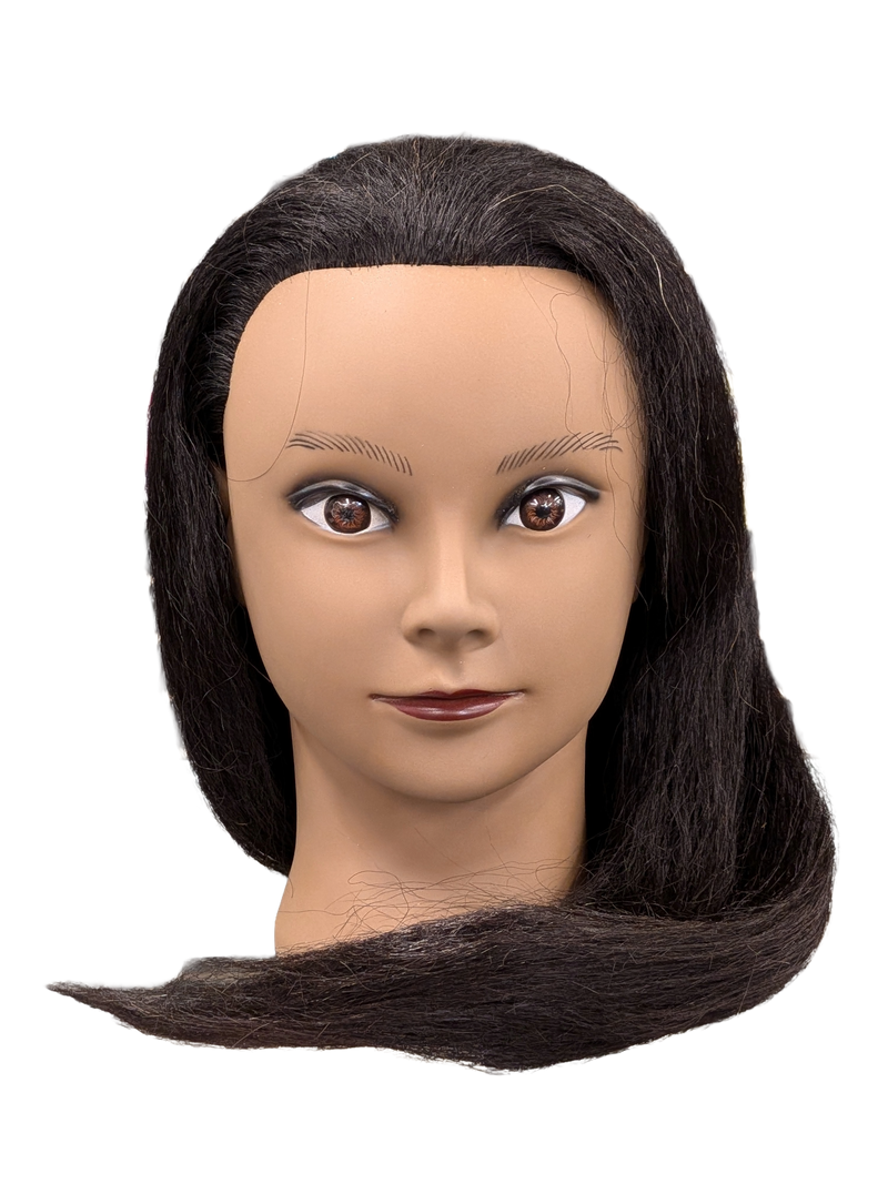 100% Human Hair Mannequin (Ethnic)